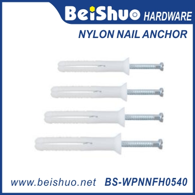 Nylon nail anchor 敲击式壁虎.jpg
