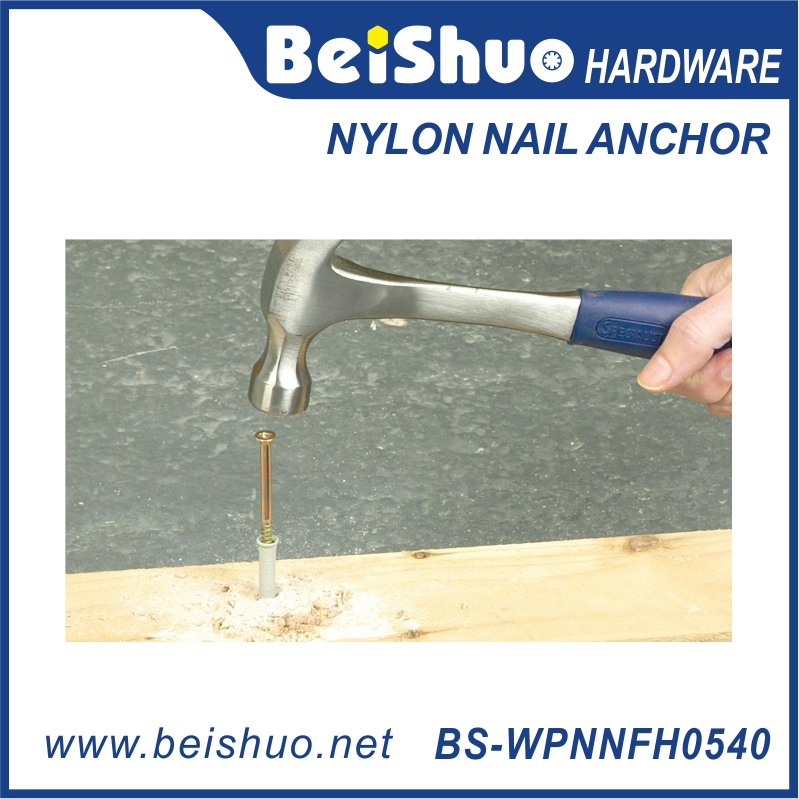 Nylon nail anchor 敲击式壁虎 2.jpg